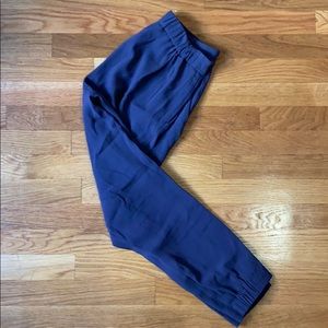 Aritzia Babaton Dexter Pants.